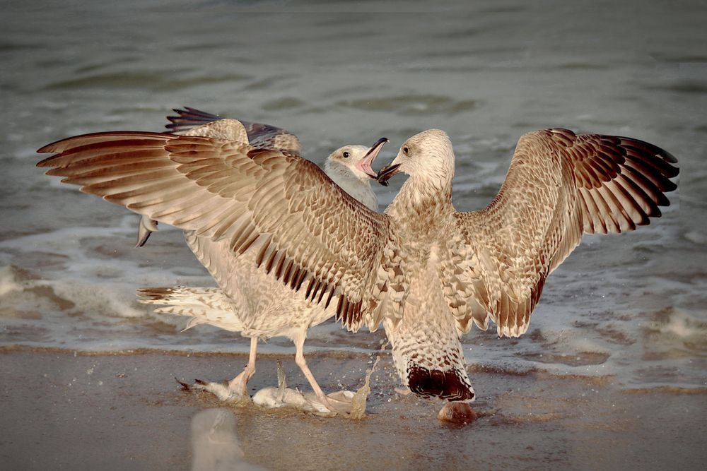 Photograph by Шруб (Беляева) Татьяна