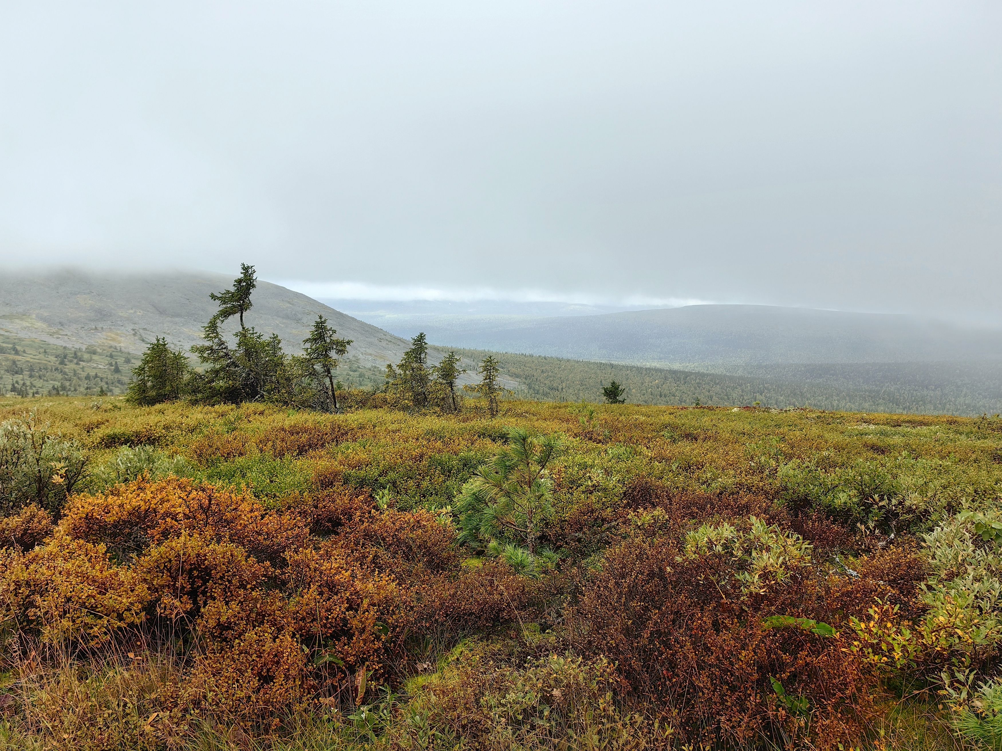 Photograph by OLGA MIKHNEVICH