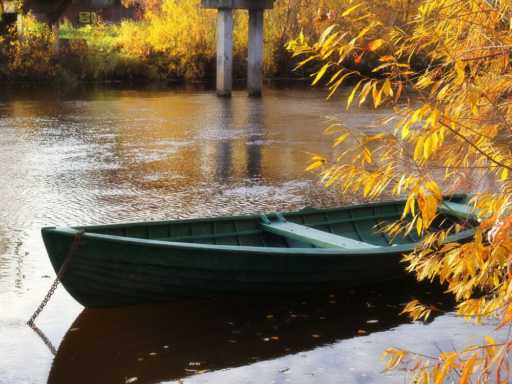 Photograph by Александр Титов