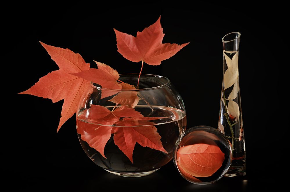 Photograph by Irina Grigoryeva