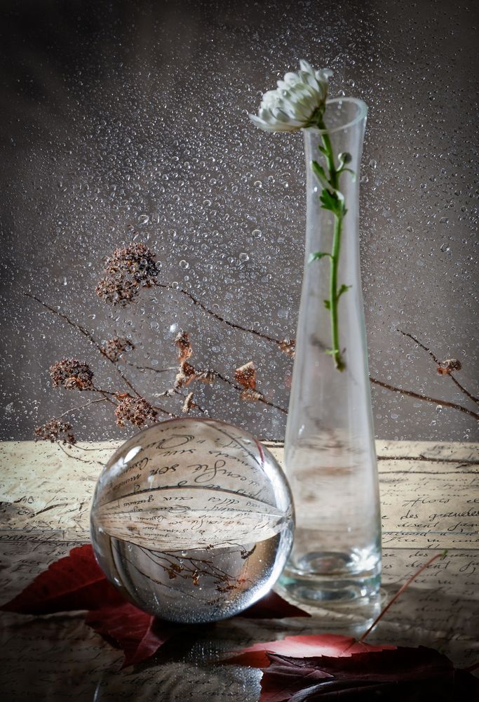 Photograph by Irina Grigoryeva