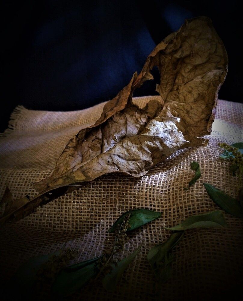 Photograph by HECTOR ANTONIO RAUCHS