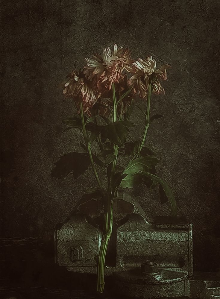 Photograph by Наталья Устюжина