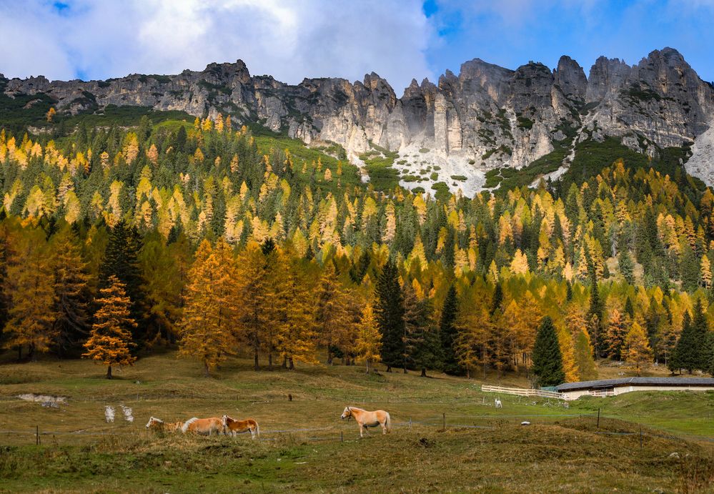 Photograph by Вадим Городницкий