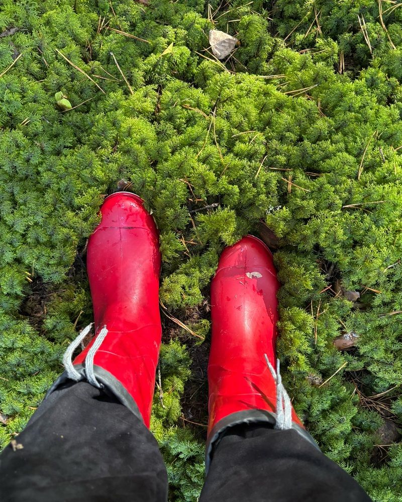 Photograph by Halina Mitsevich