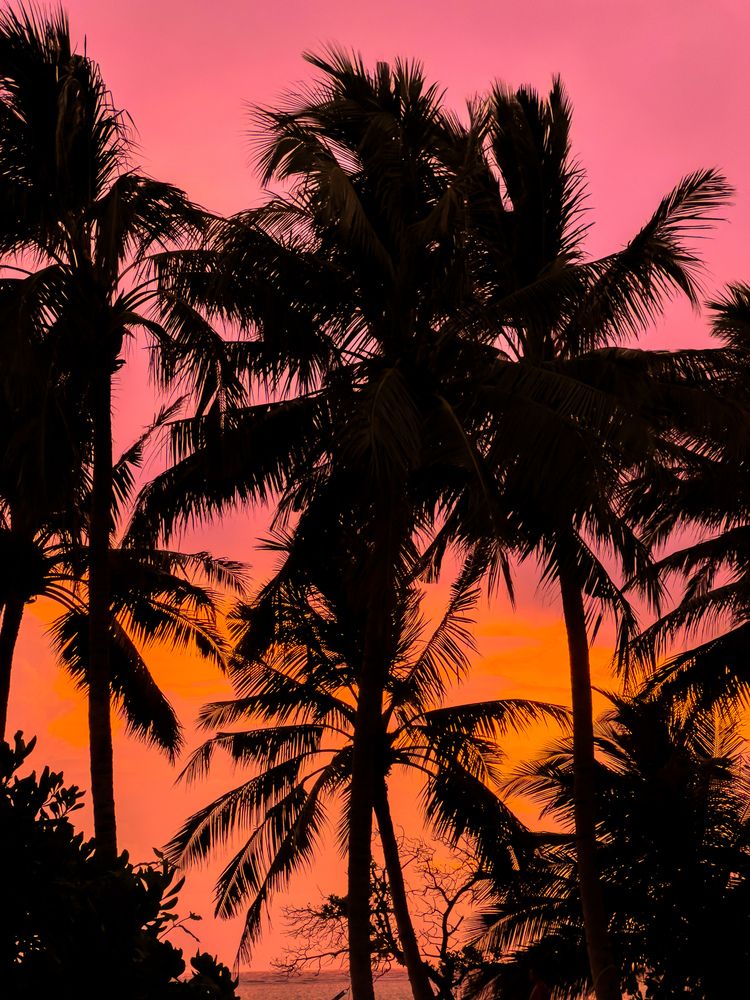 Photograph by Илья Ушак