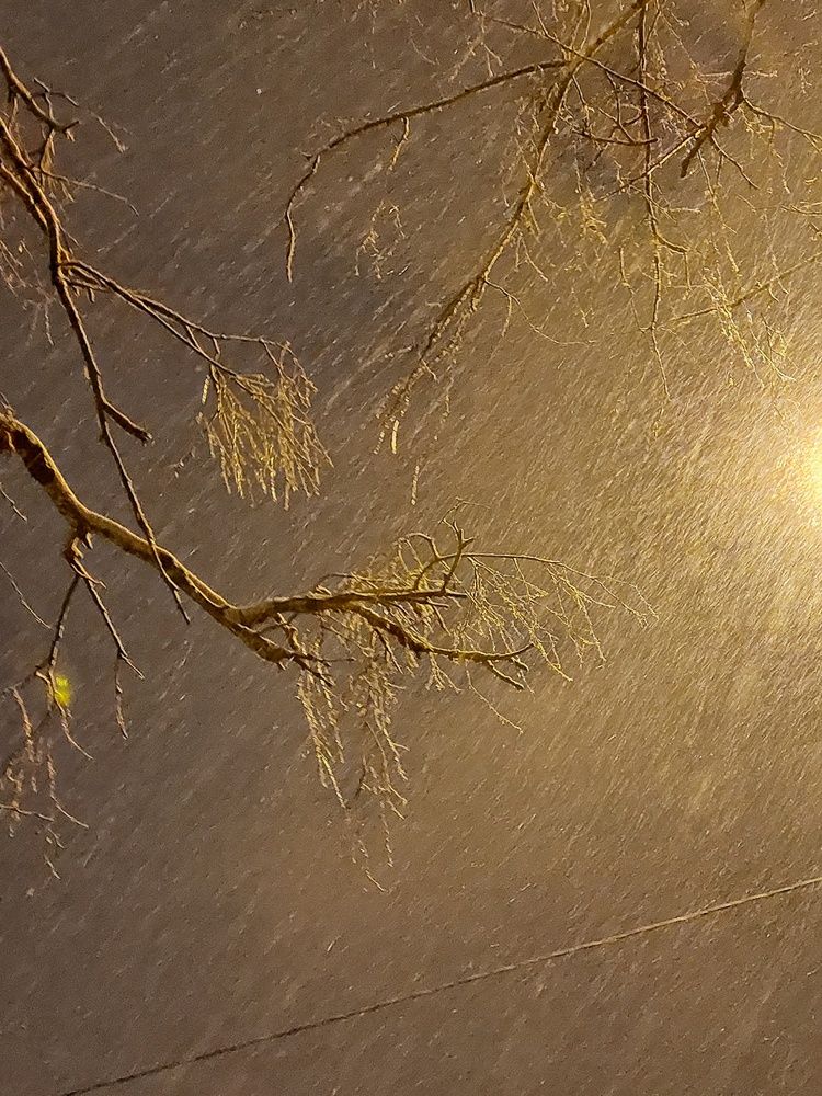 Photograph by Нина Паршина