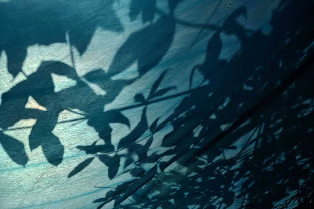 Photograph by Mohammd Asadurjaman Aslam Molla