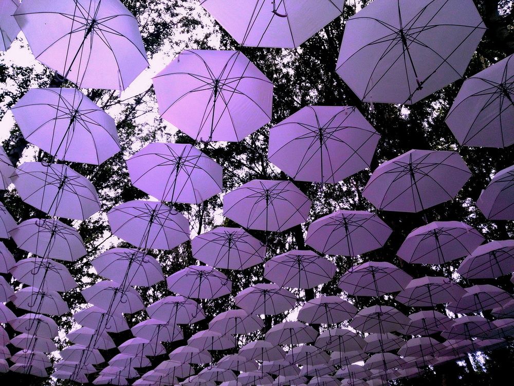 Photograph by Александр Бастраков