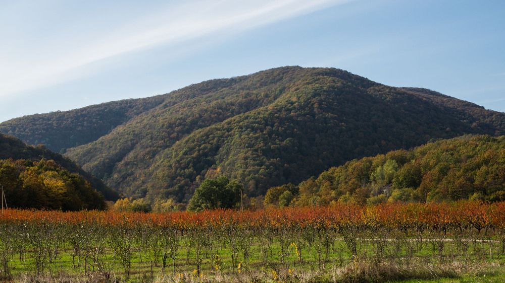 Фотография автора Вадим Топычканов