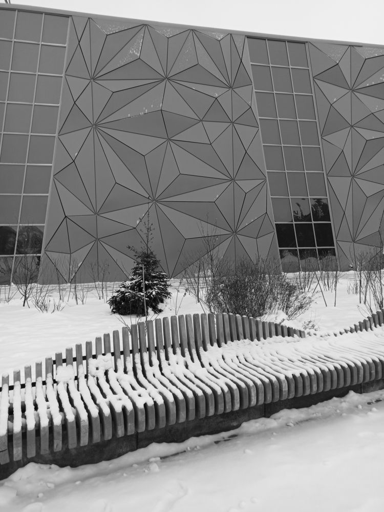 Фотография автора Юлия Сурина