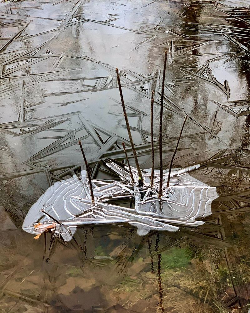 Photograph by Надежда Смирнова