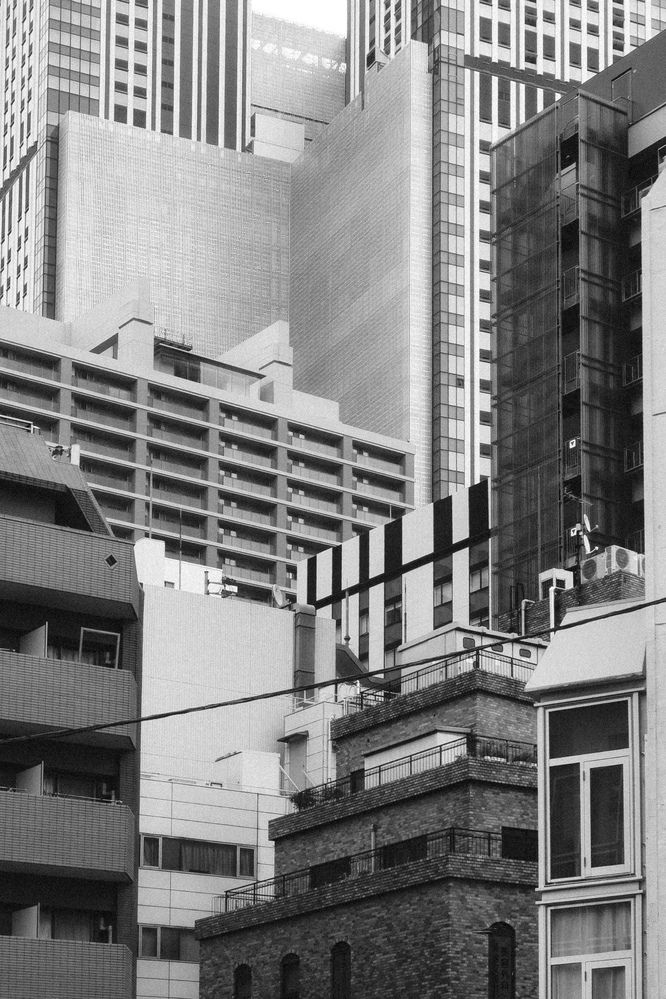 Фотография автора Gerun Ekaterina