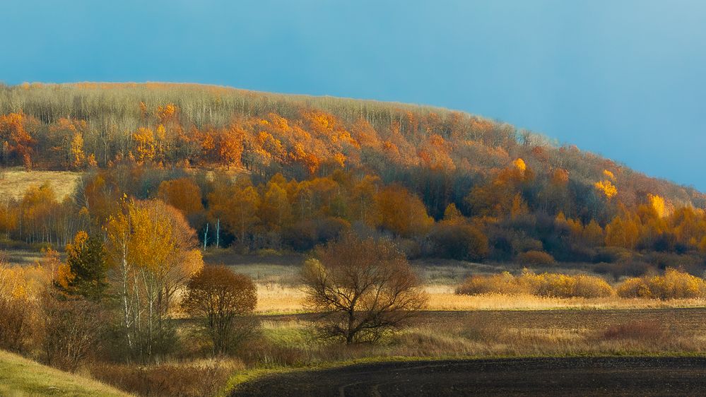 Photograph by Grigoriy