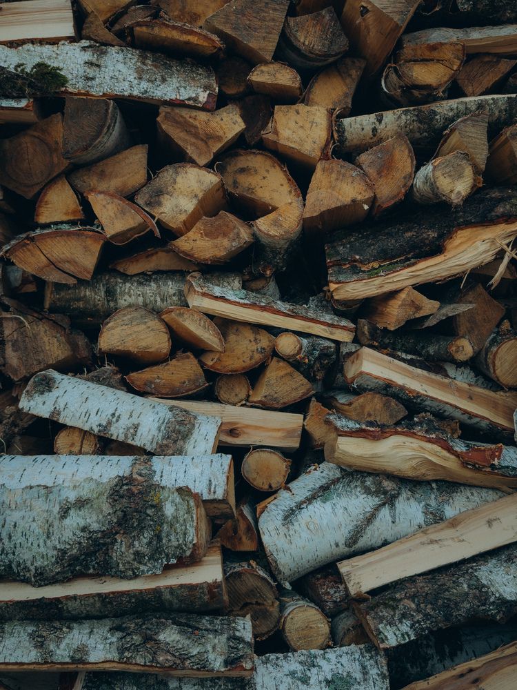 Фотография автора Марина Рябуха