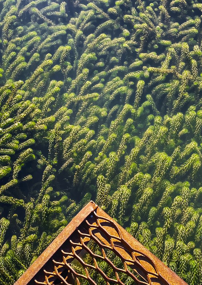 Photograph by Светлана Карнаух