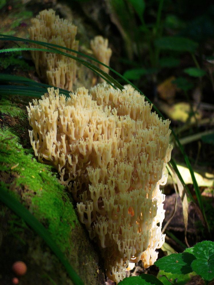 Фотография автора Юрий Кольцов