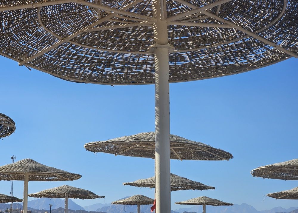 Photograph by Edmund Randal