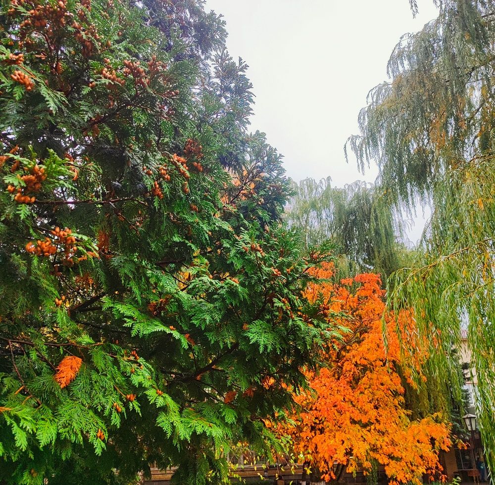 Photograph by Олег Дегтярев