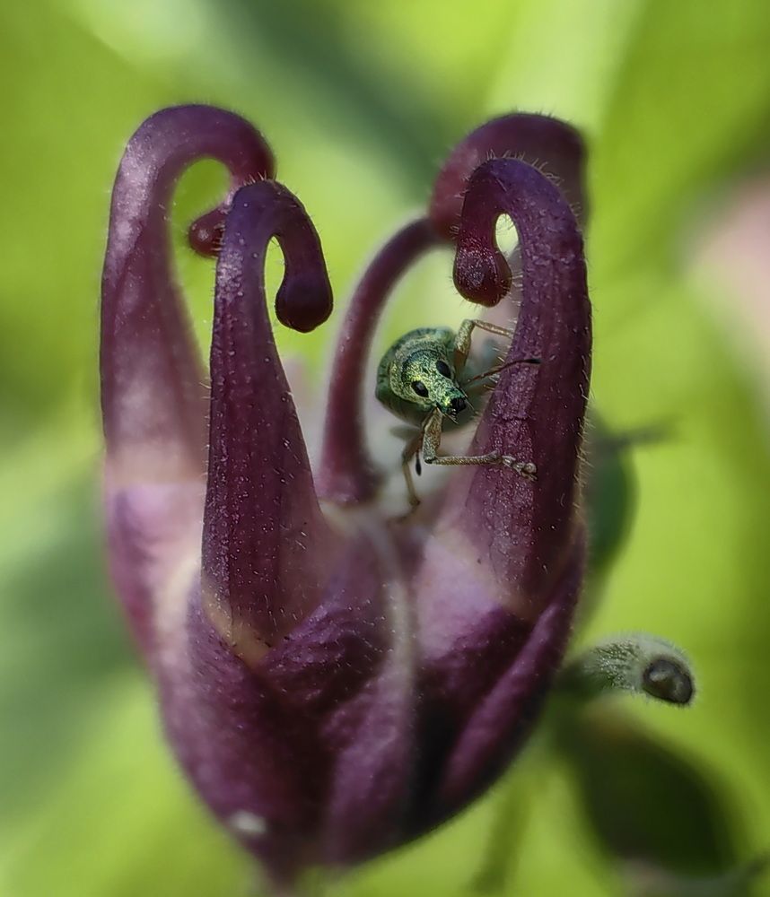 Дом для малыша