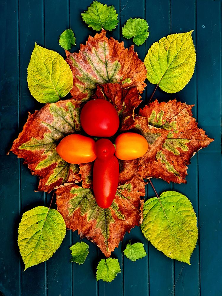 Photograph by Николай Протасеня