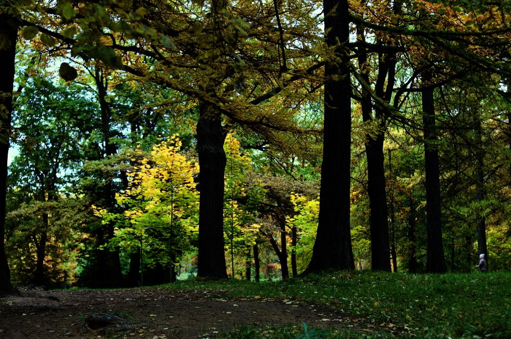 Photograph by Vyacheslav Ushakov