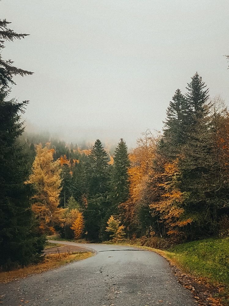 Photograph by Александра Шилова