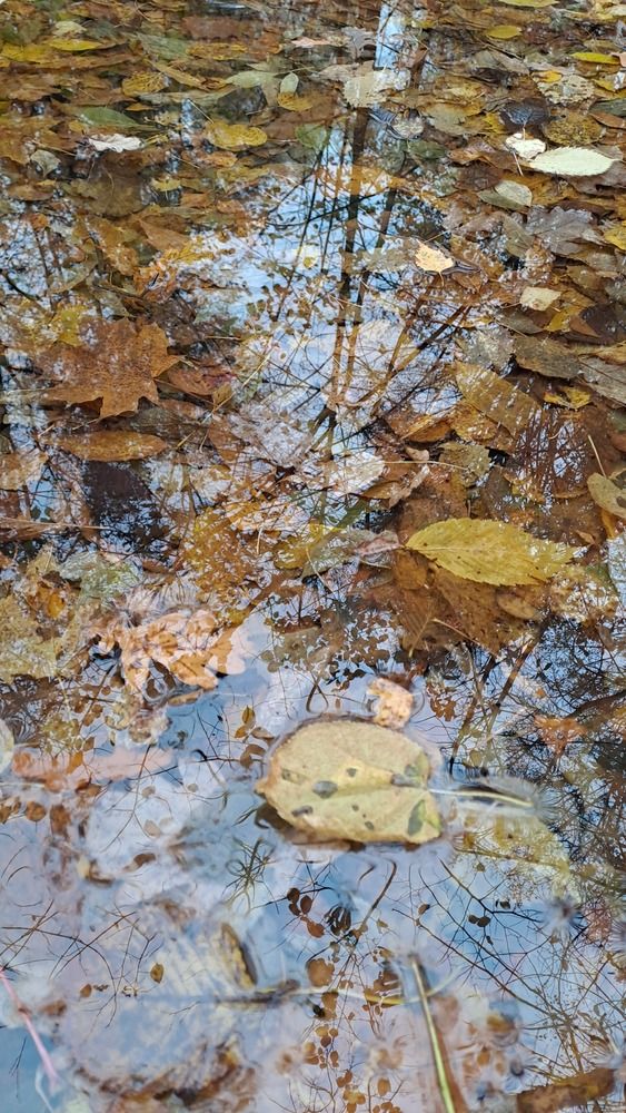 Photograph by Ирина Владимировна