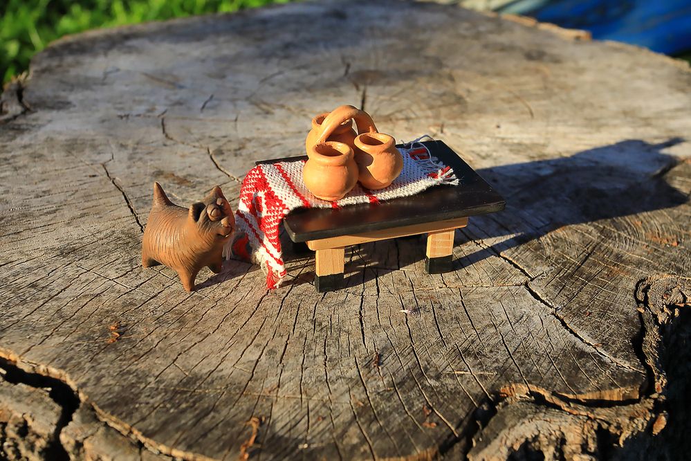 Photograph by Николай Протасеня