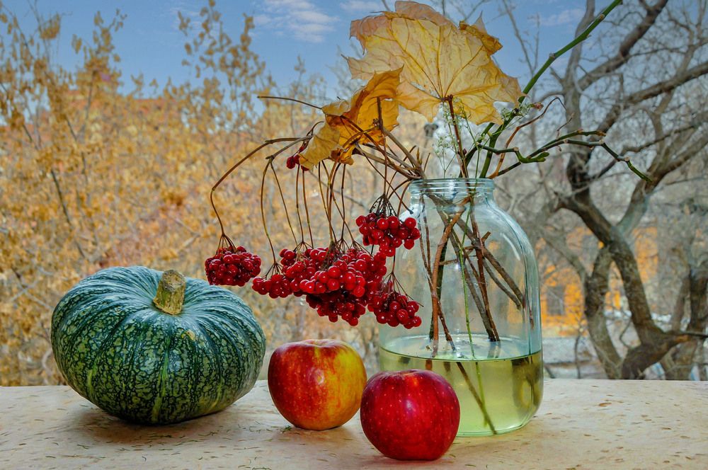 Photograph by NADEZHDA PELYMSKAIA