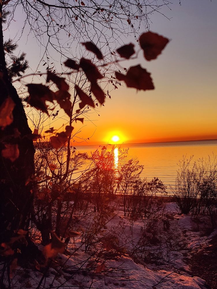 Photograph by Olena Chertous