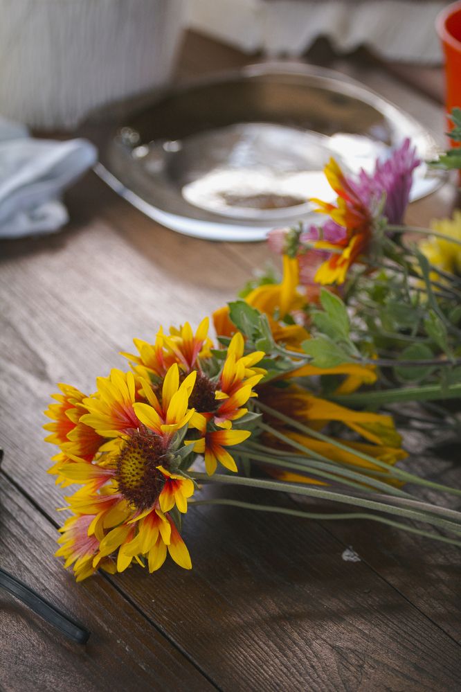 Photograph by Roman Savitskiy