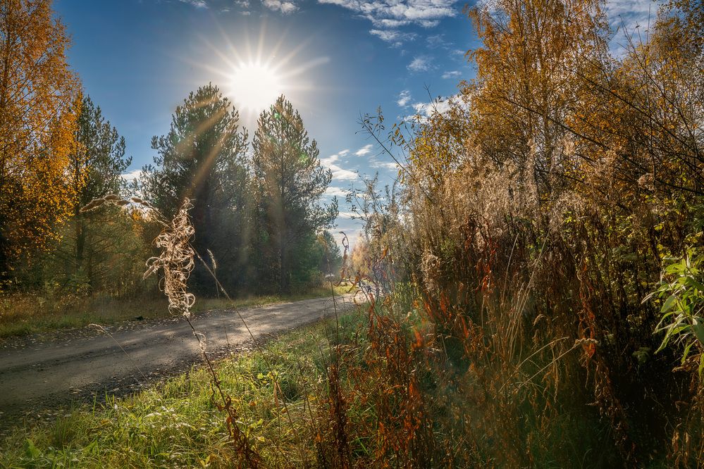 Photograph by Светлана Волкова