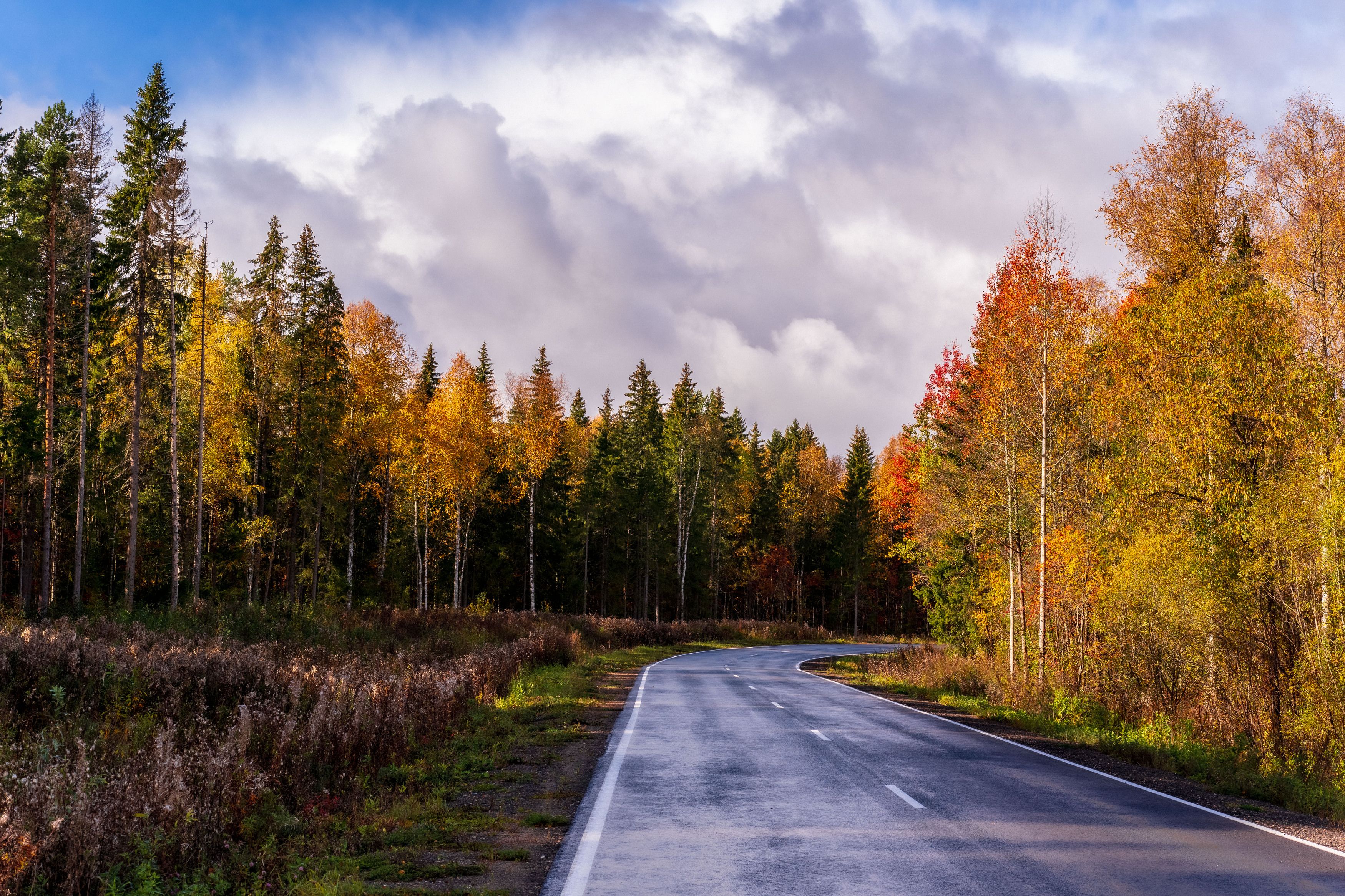 Photograph by Светлана Волкова