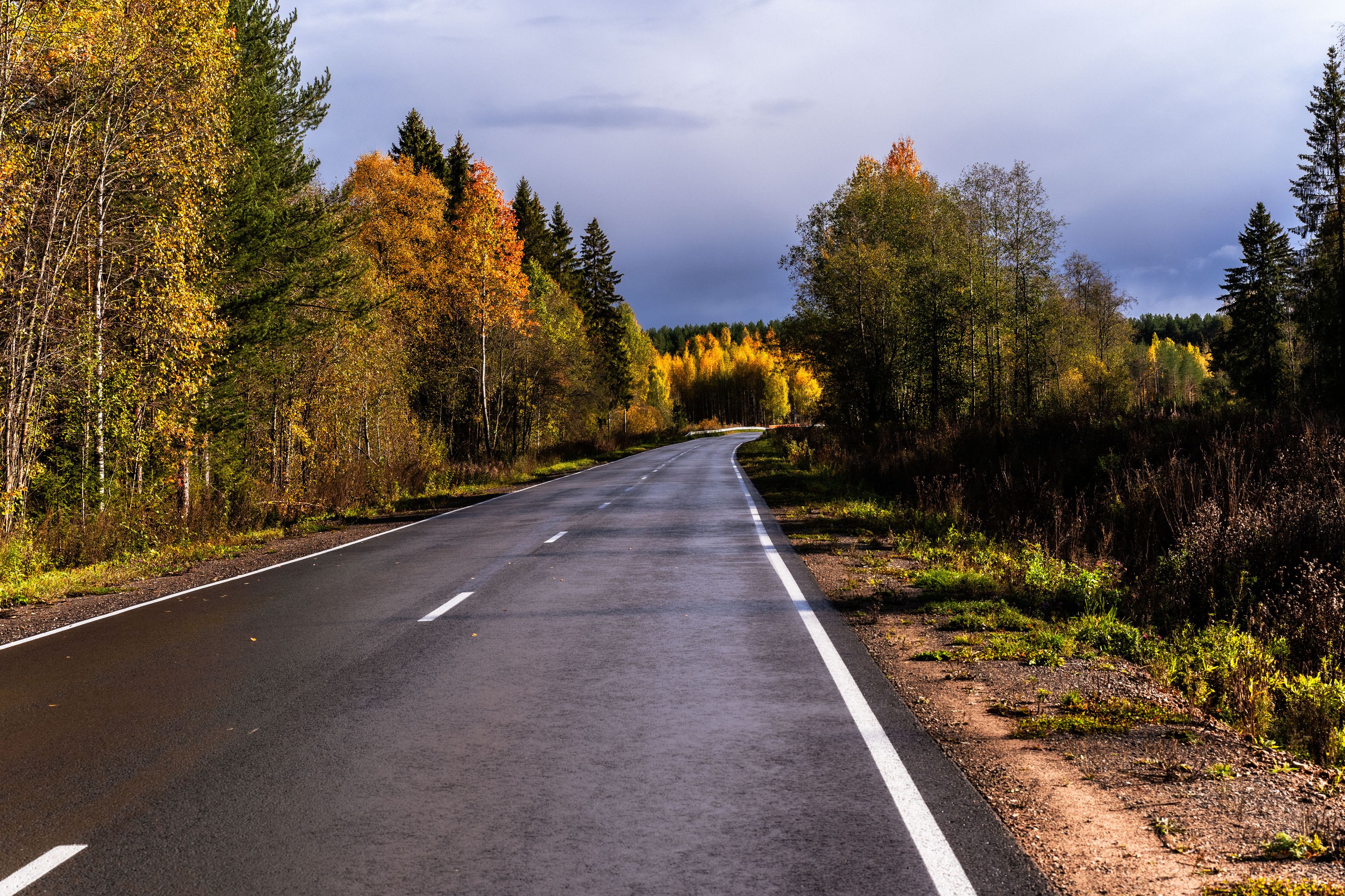 Photograph by Светлана Волкова