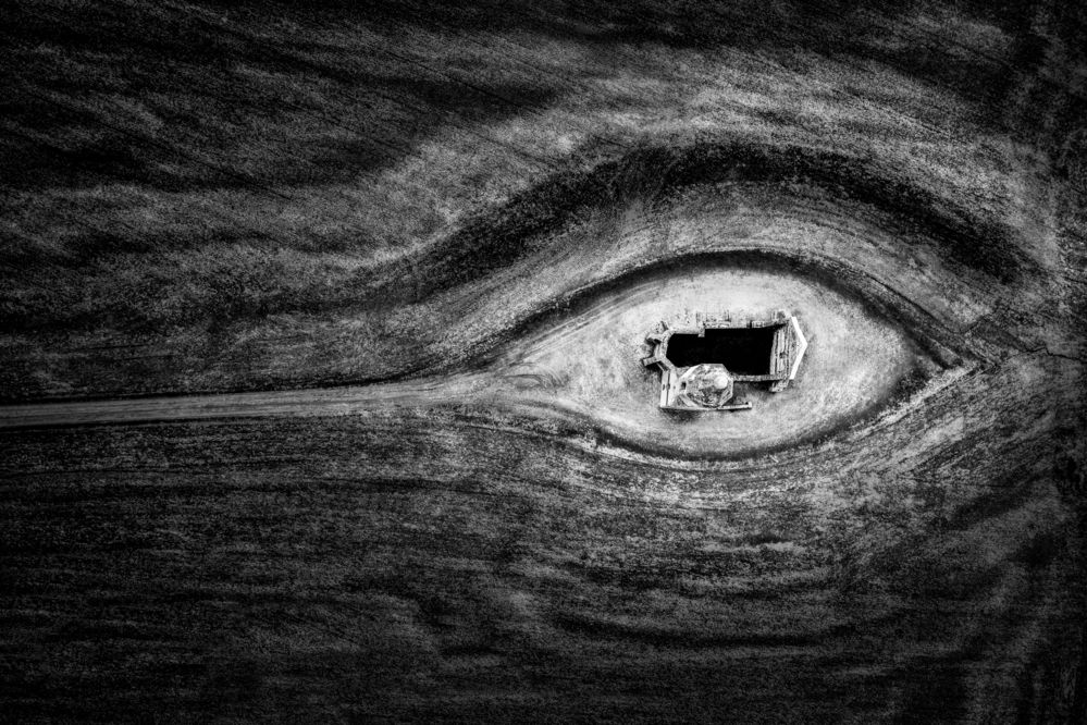 Silent Eye of the Fields