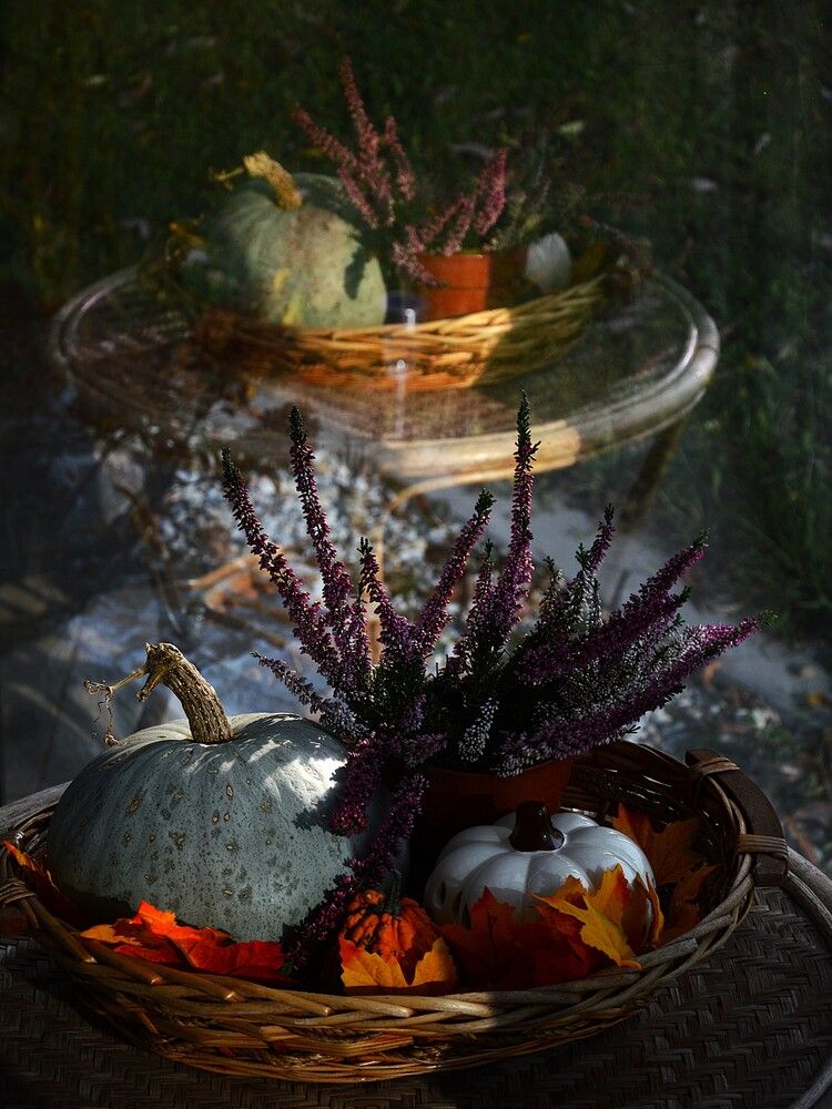 Duplicate in reflection