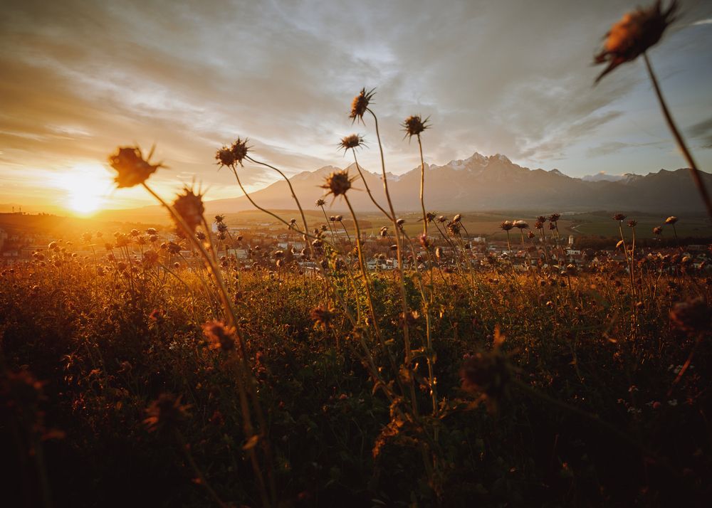Photograph by tibor gabor