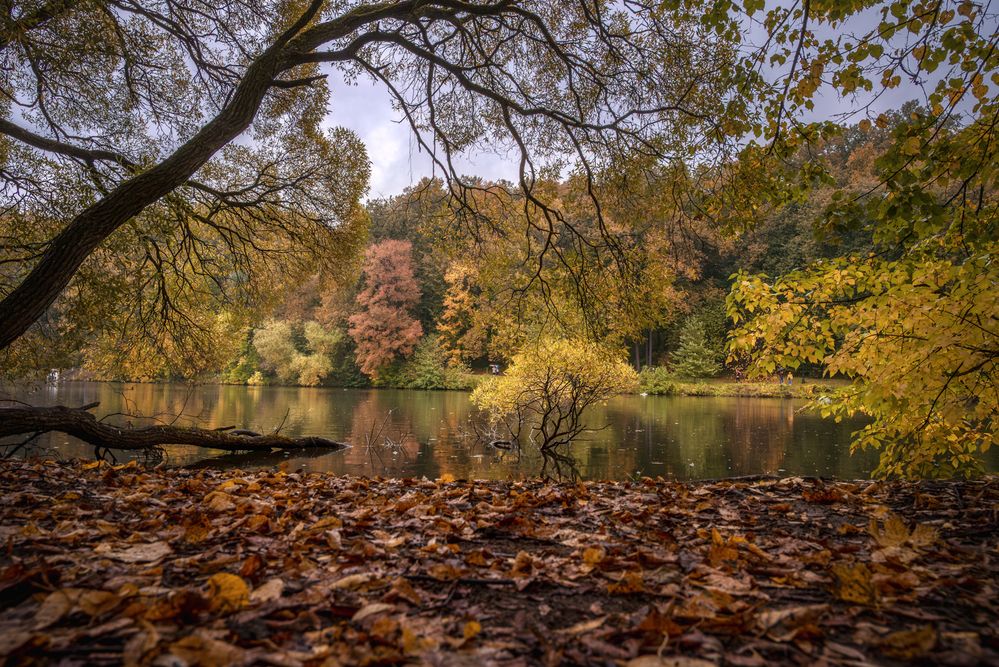 Фотография автора Сережин Сережа
