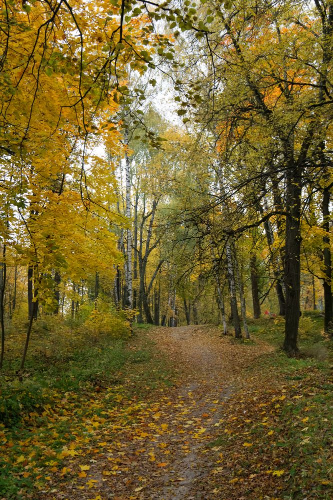 Photograph by Светлана Карнаух