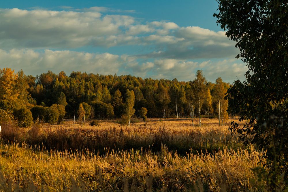 Фотография автора Aamoda Kitchen