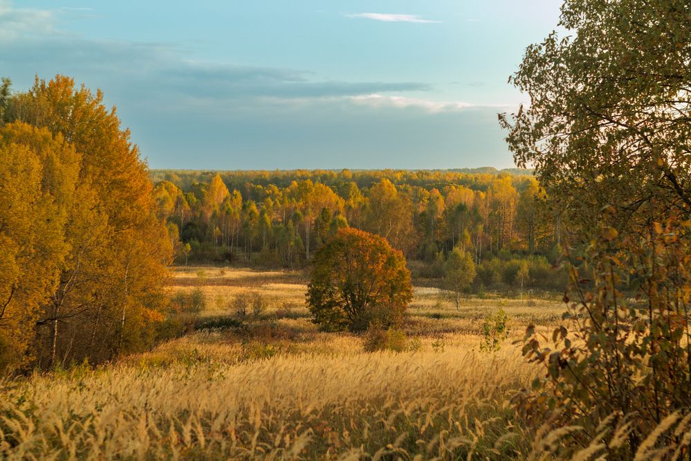 Фотография автора Aamoda Kitchen