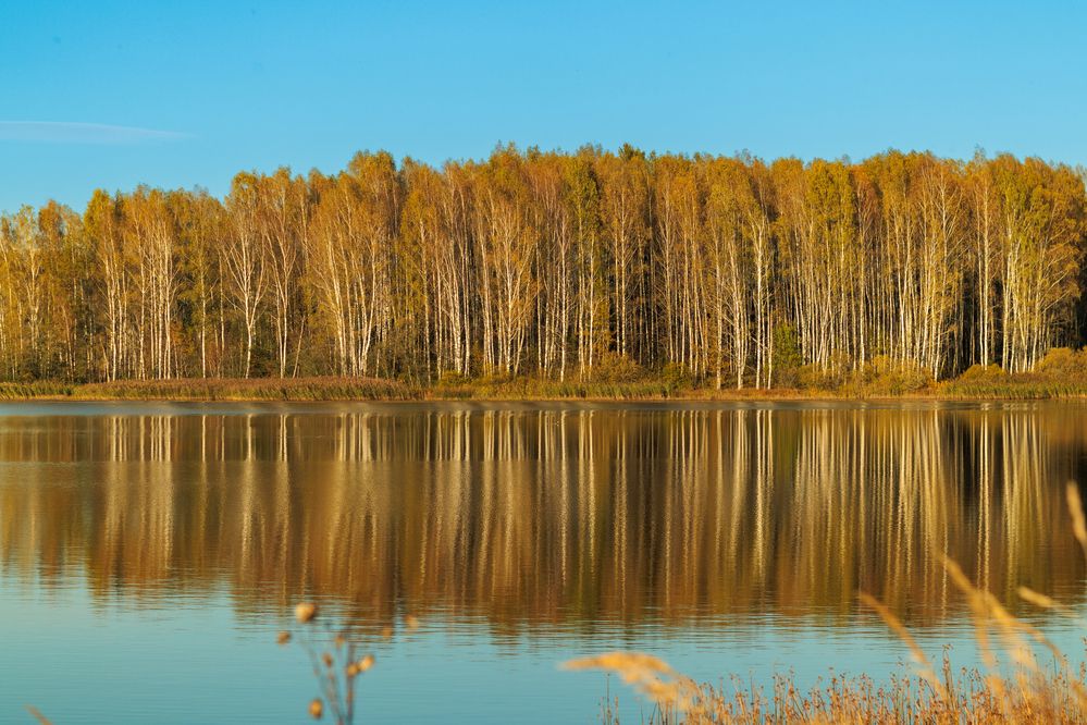 Фотография автора Aamoda Kitchen