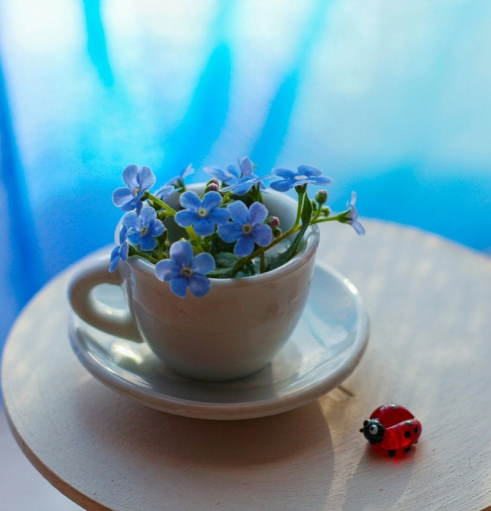 Photograph by Анна Зайченко