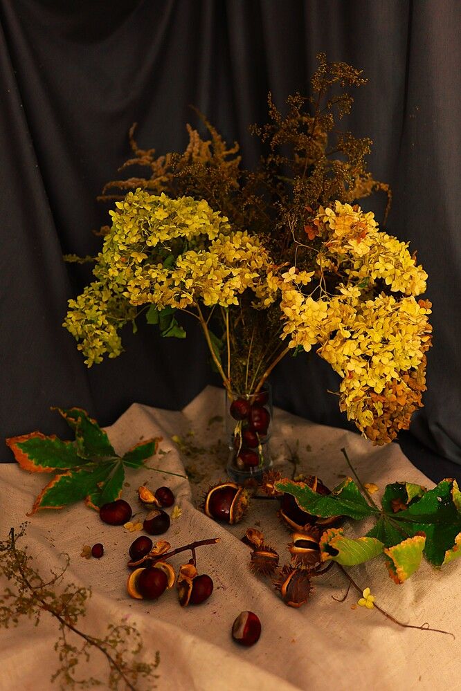 Photograph by Марина А-Б