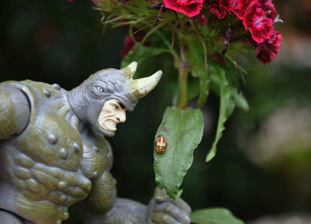 Photograph by Валентина Шикулина