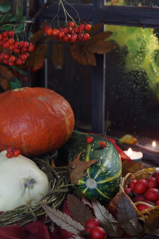 Фотография автора Светлана