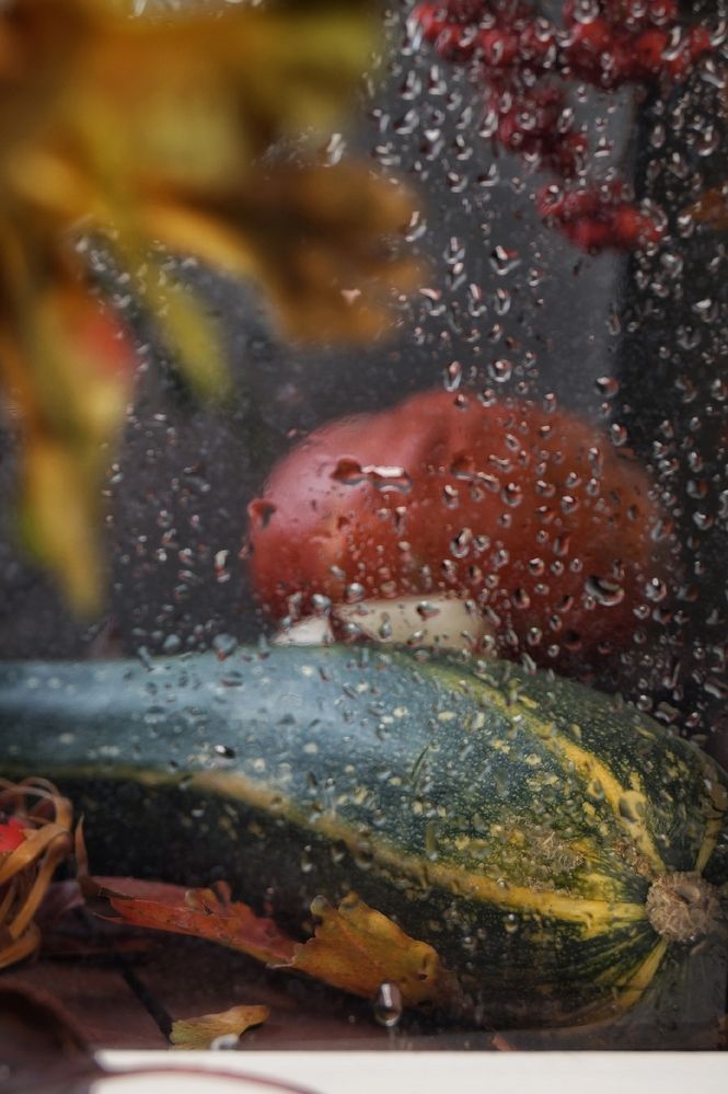 Фотография автора Светлана