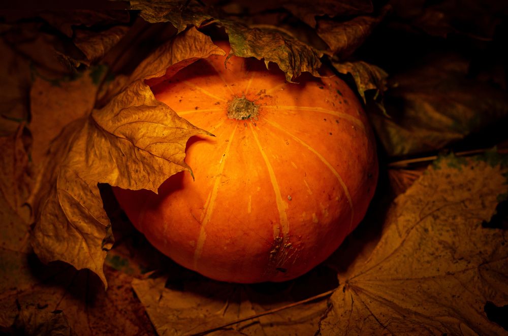 Photograph by Василий Богомолов