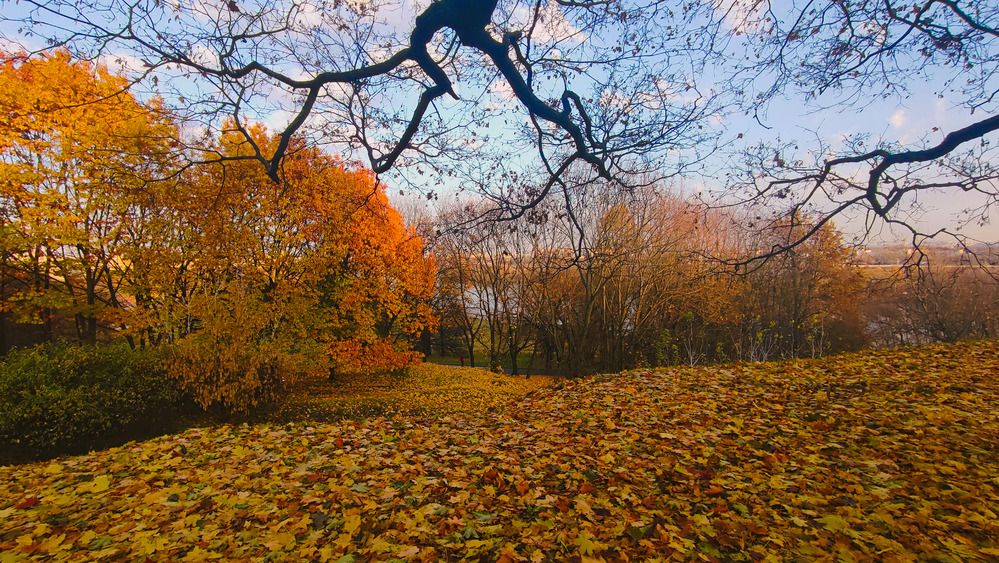 Photograph by Selina Marina